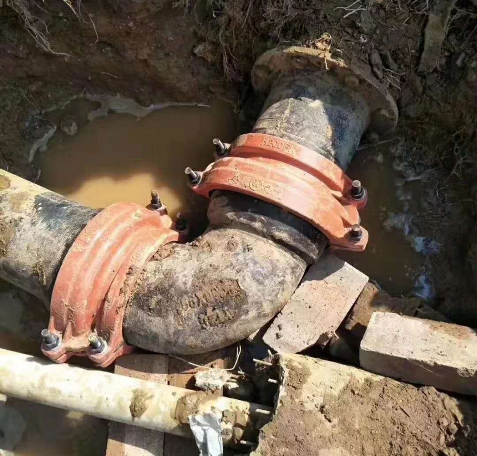 التركيب الميداني